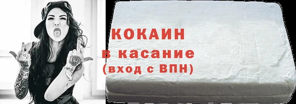 хмурый Магас