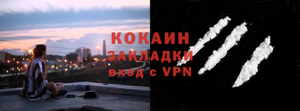 молекула духа Медвежьегорск
