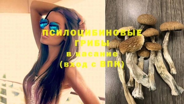каннабис Медногорск