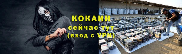 хмурый Магас