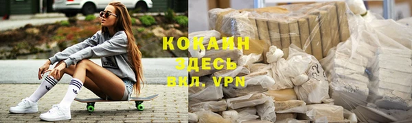 хмурый Магас